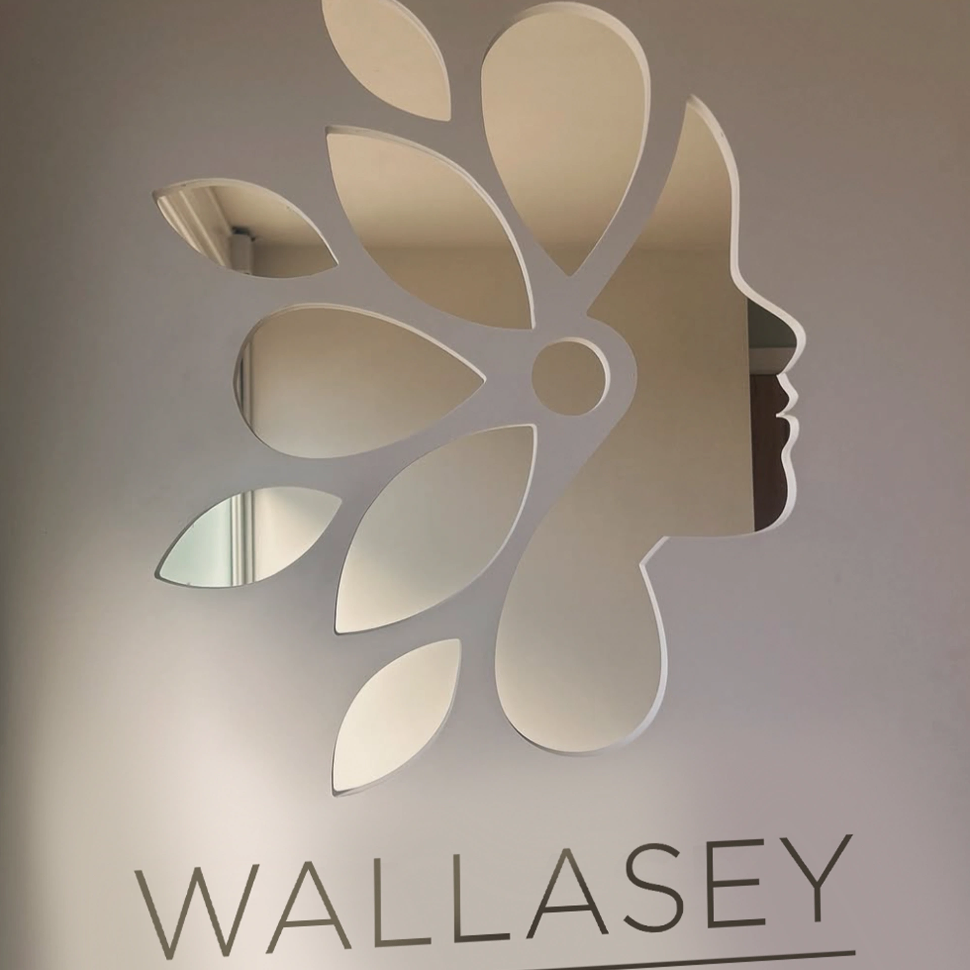 Portfolio: Wallasey Aesthetics Identity