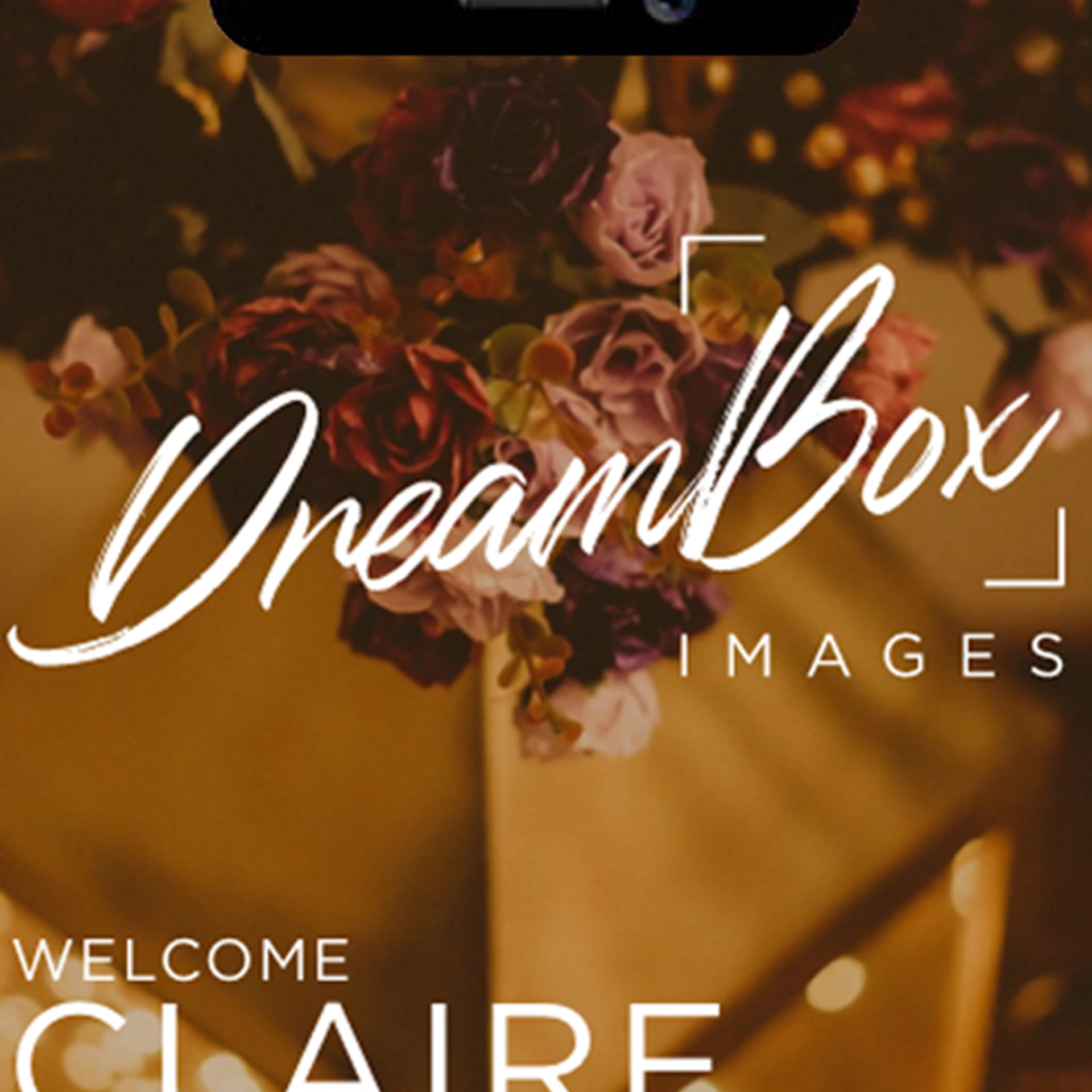 Portfolio: Dream Box Images App Design