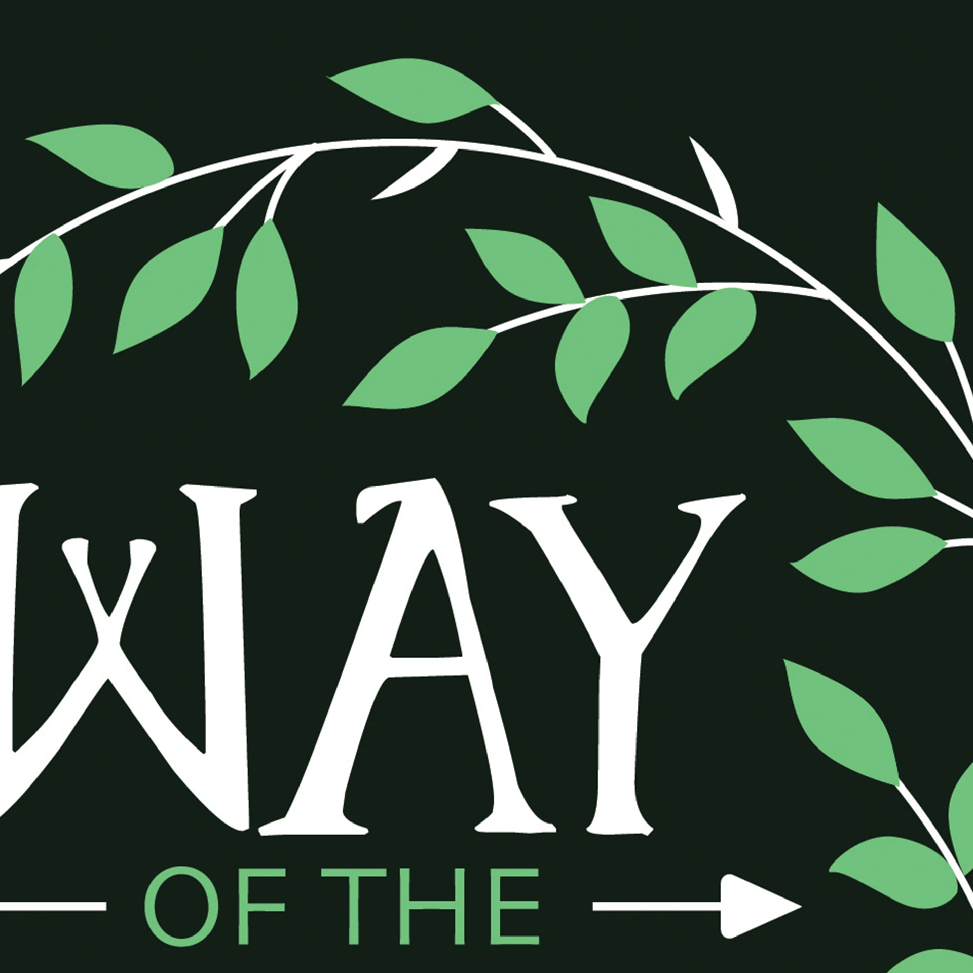 Portfolio: Way Of The Wild